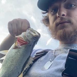 Meet your Posher, Thomas